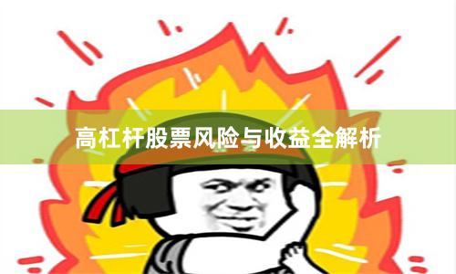 高杠杆股票风险与收益全解析